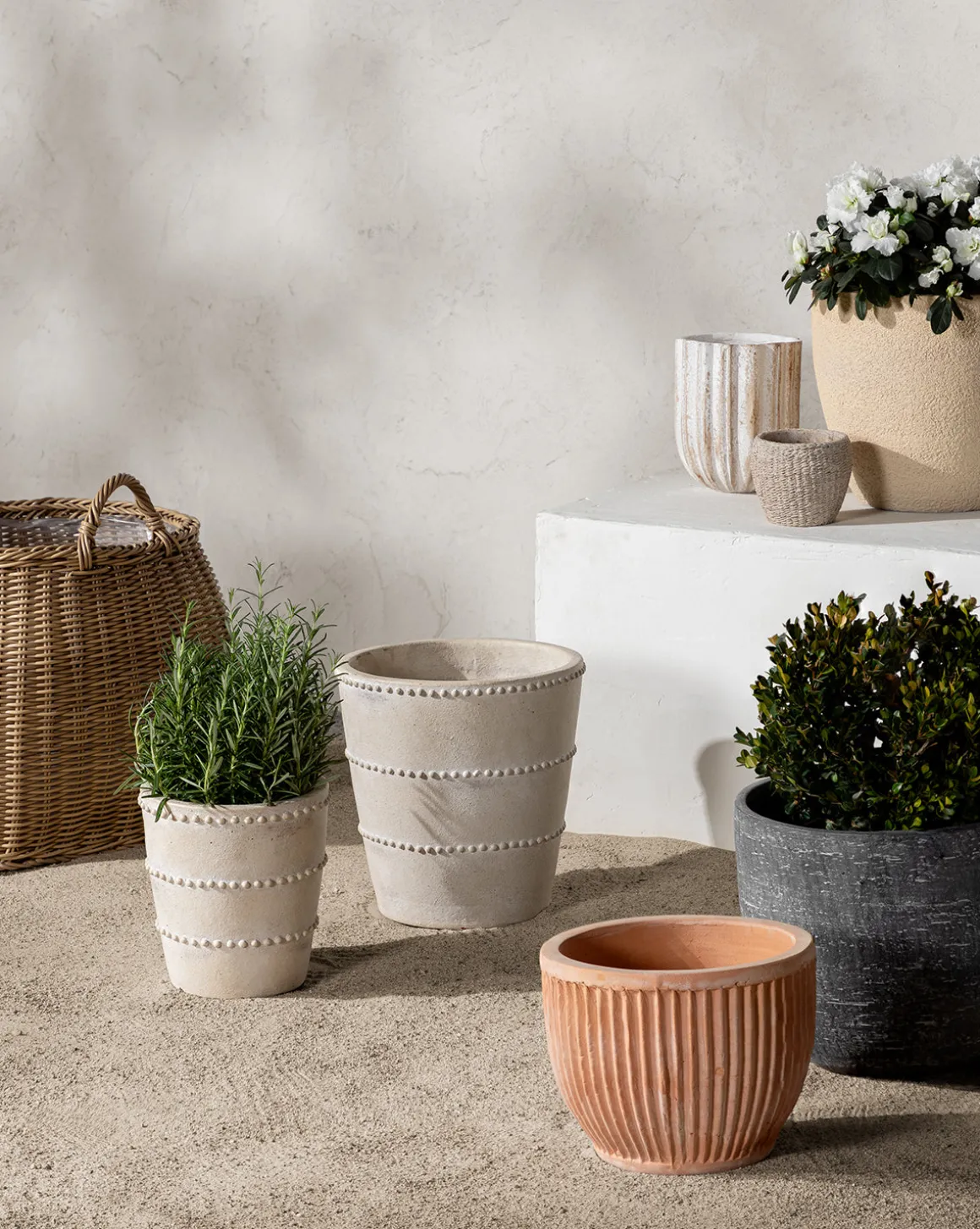 Allaston Planter