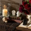 Assorted Resin Skulls (Boxed Set of 4)