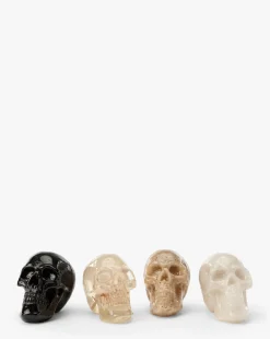 Assorted Resin Skulls (Boxed Set of 4)