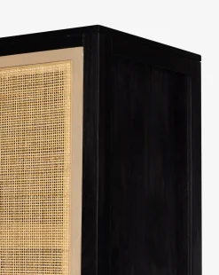 Barney Cabinet