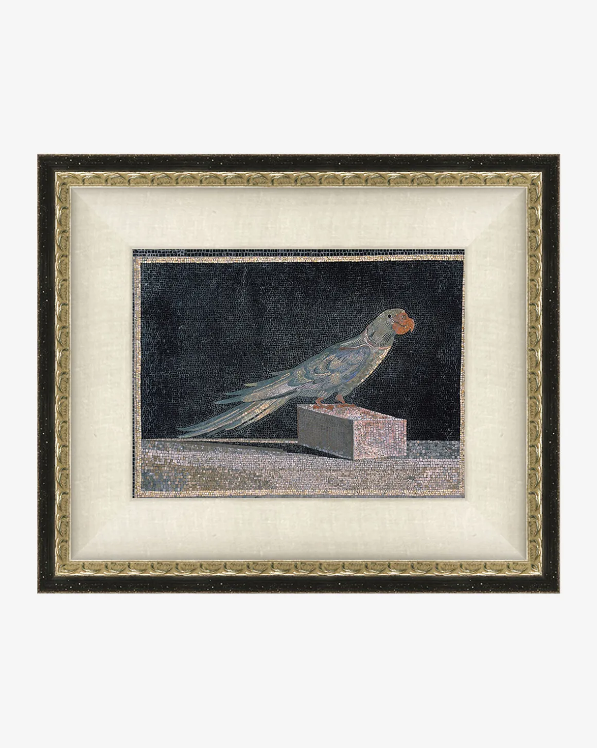 Blue Parrot