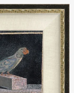 Blue Parrot