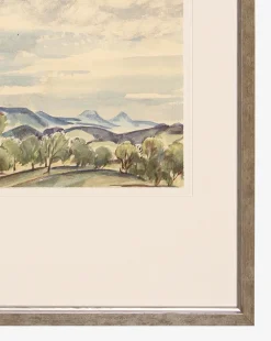 Blue Sky & Trees