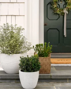 Bodie Fiberstone Planter
