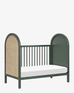 Bondi Cane 3-in-1 Convertible Crib with Toddler Bed Conversion Kit