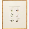 Botanical Grid 1