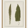 Botanical Pressings VII