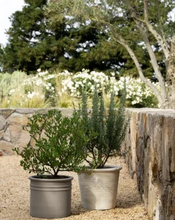 Canton Ceramic Planter