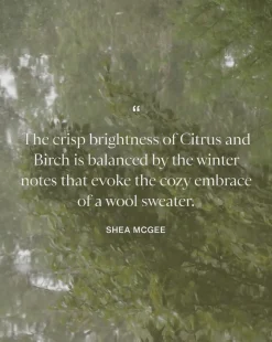 Citrus & Birch Candle