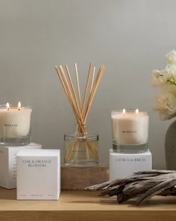 Citrus & Birch Candle