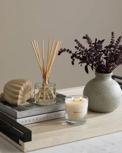 Citrus & Birch Diffuser