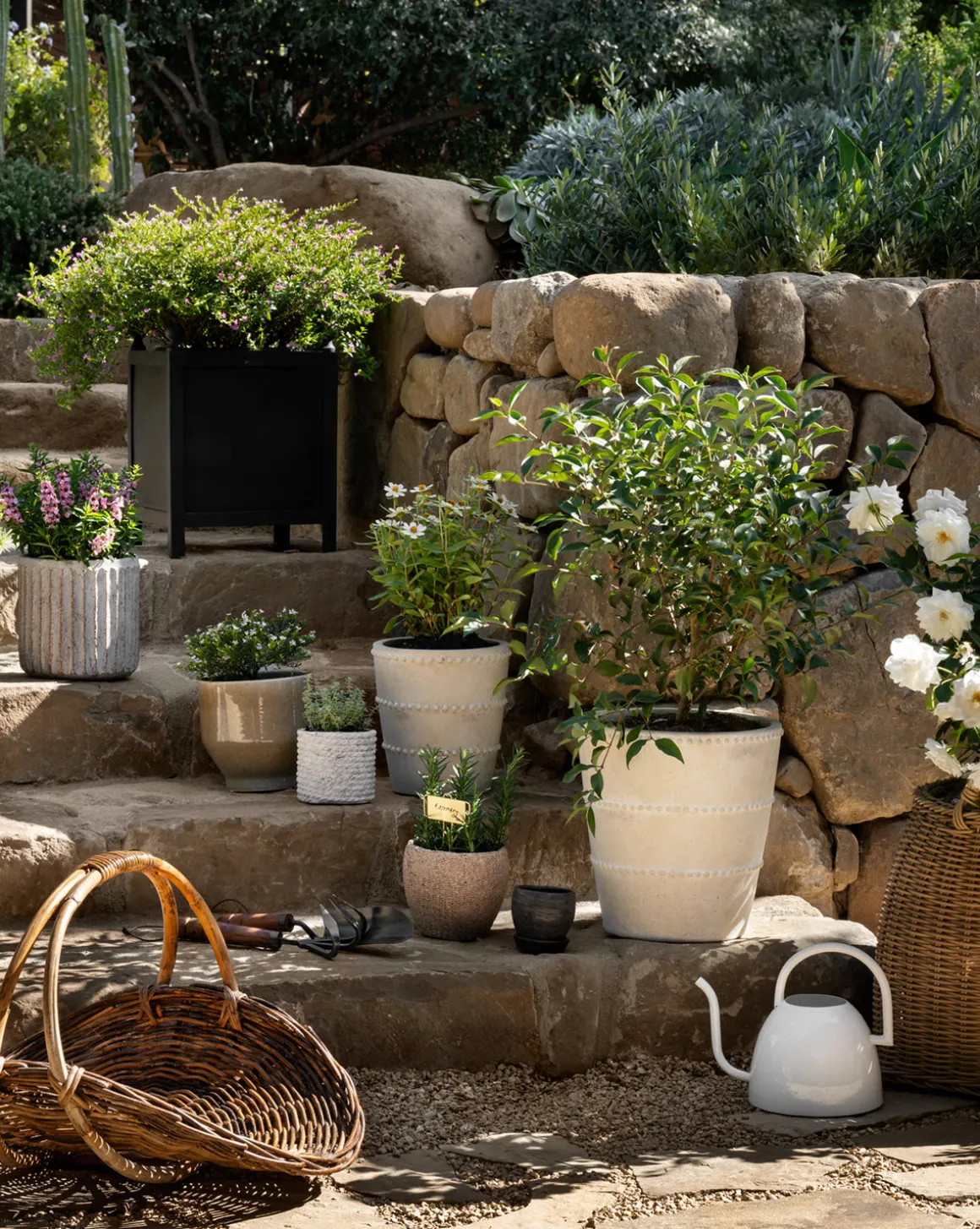 Clariance Planter