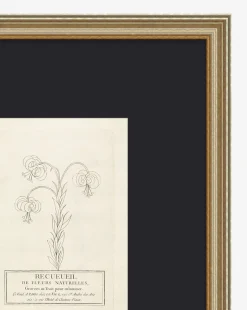 Collection Of French Flowers