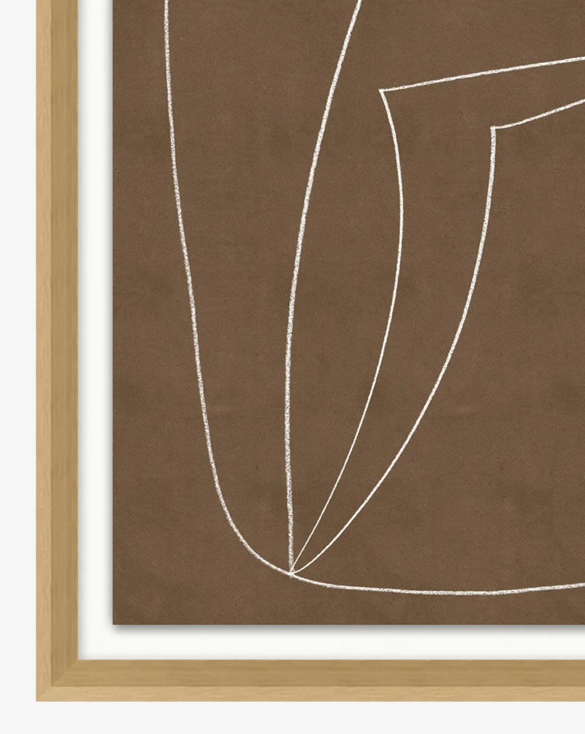 Contour Study II