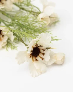 Cream Cosmos Stem