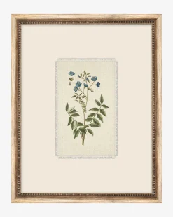 Delicate Floral l