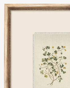 Delicate Floral ll
