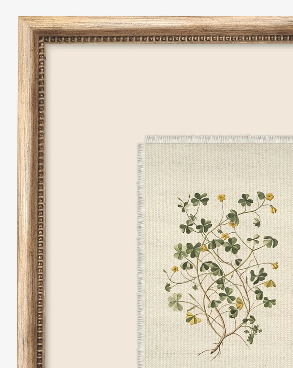 Delicate Floral ll