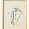 Embroidered Blue Iris
