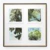 Eucalyptus Windows