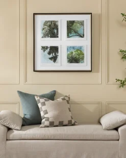 Eucalyptus Windows