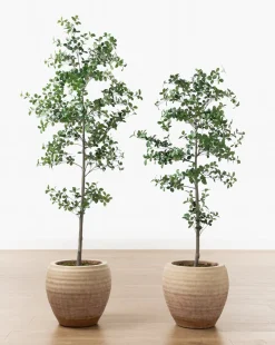 Faux Cascalote Tree