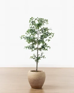 Faux Cascalote Tree
