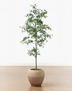 Faux Cascalote Tree