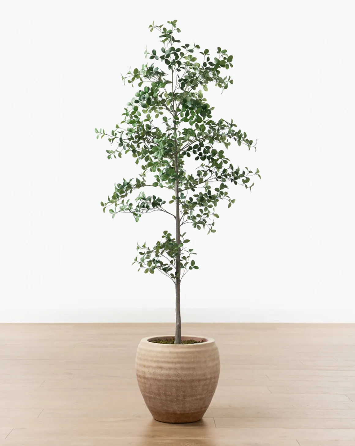Faux Cascalote Tree