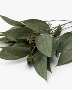 Faux Eucalyptus Seed Stem