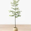 Faux Japanese Quince Tree