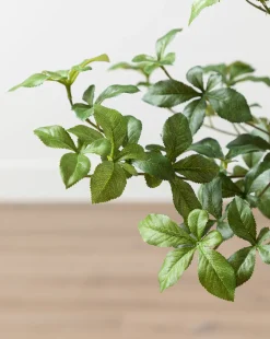 Faux Japanese Quince Tree