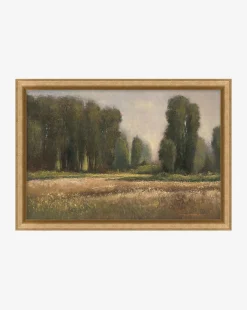 Field in Summer