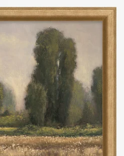 Field in Summer
