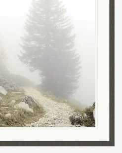 Foggy Mountain I