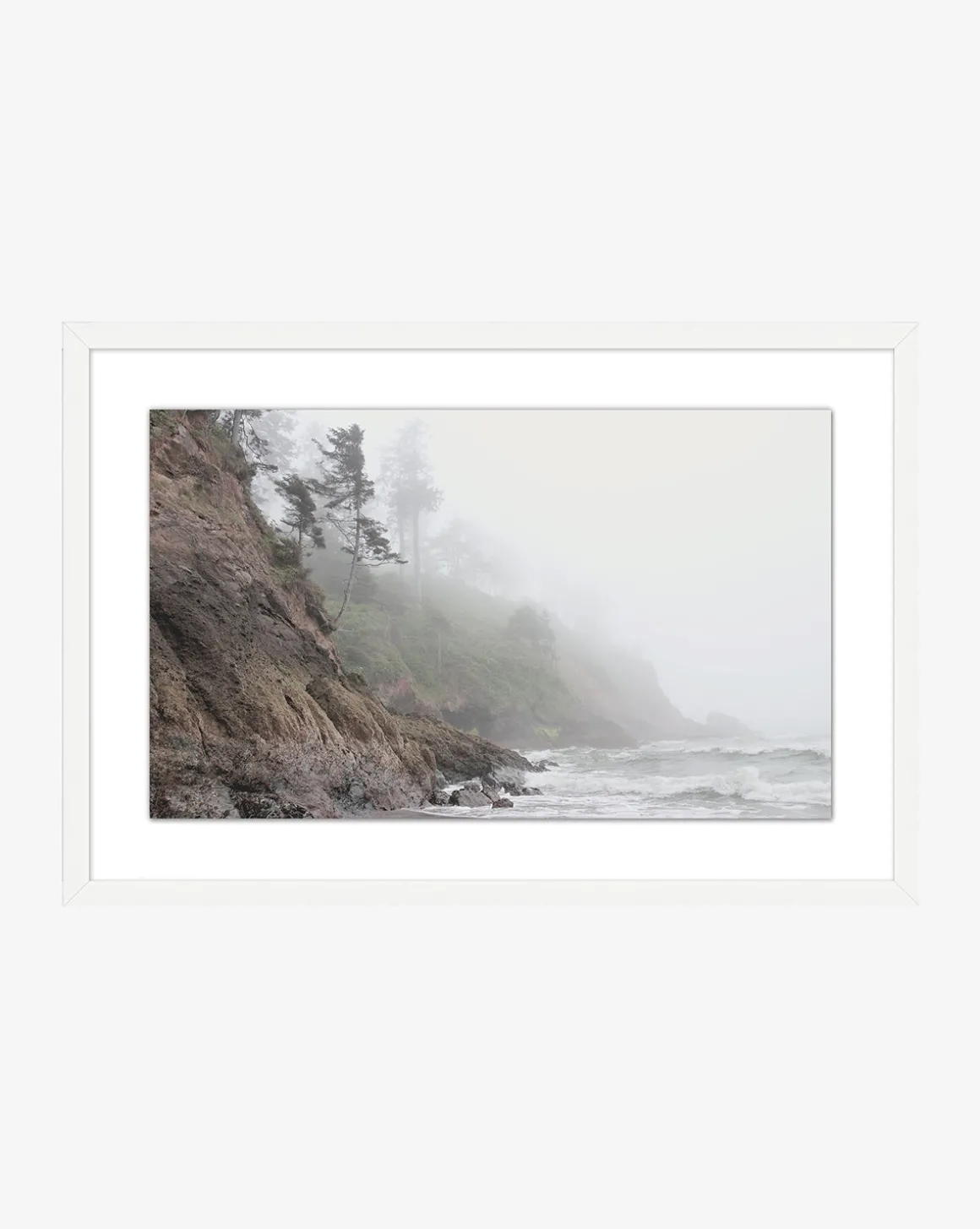 Foggy Shores