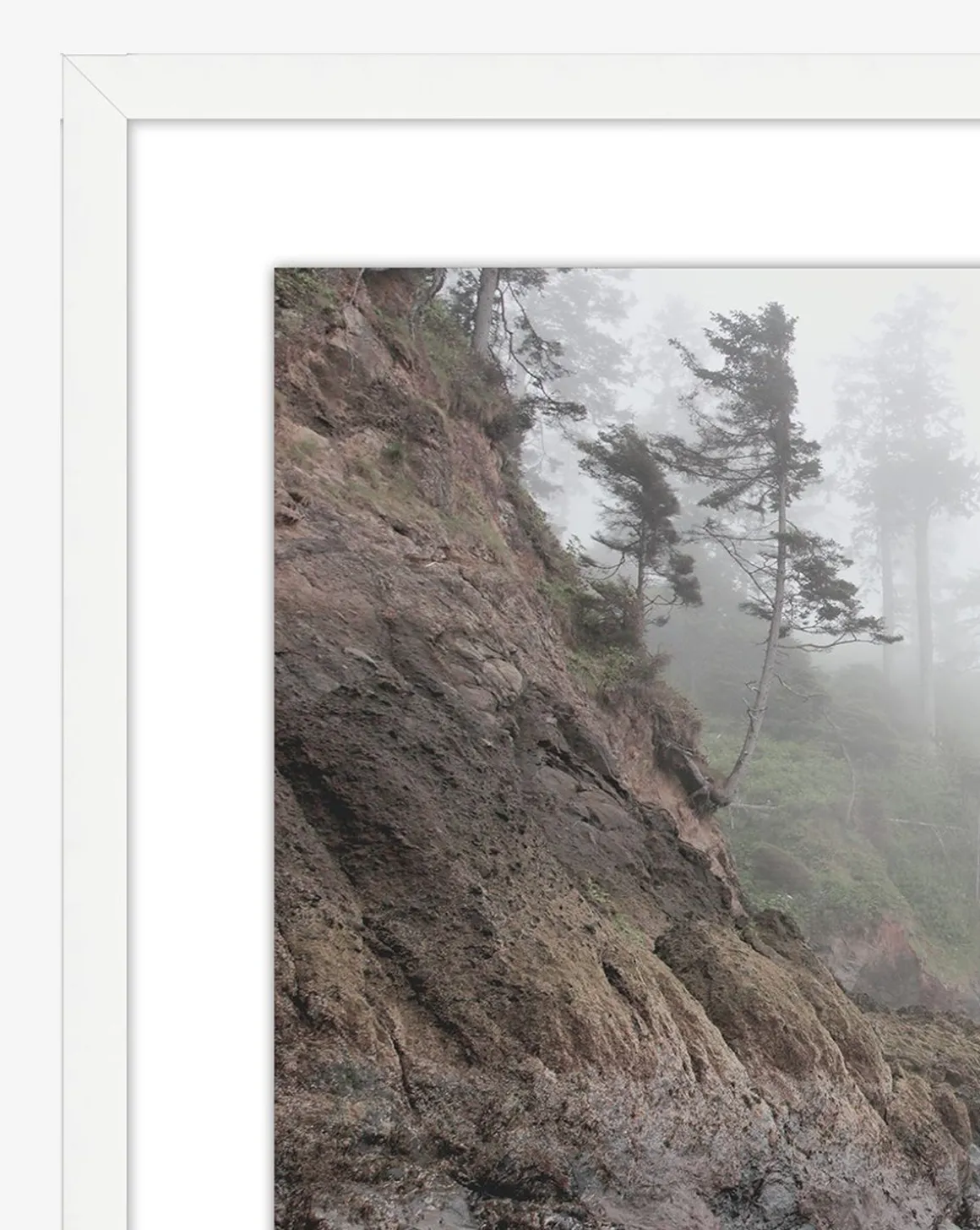 Foggy Shores