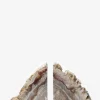 Fossilized Wood Bookends (Set of 2)