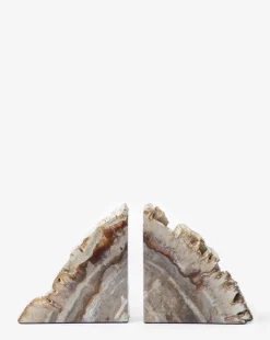 Fossilized Wood Bookends (Set of 2)