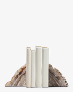 Fossilized Wood Bookends (Set of 2)
