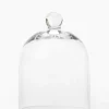 Glass Cloche