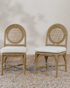 Marisol Indoor/Outdoor Dining Chair (Set of 2)