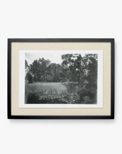 Muted Florida Pines by Carol Haymon