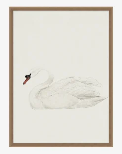 Neutral Swan