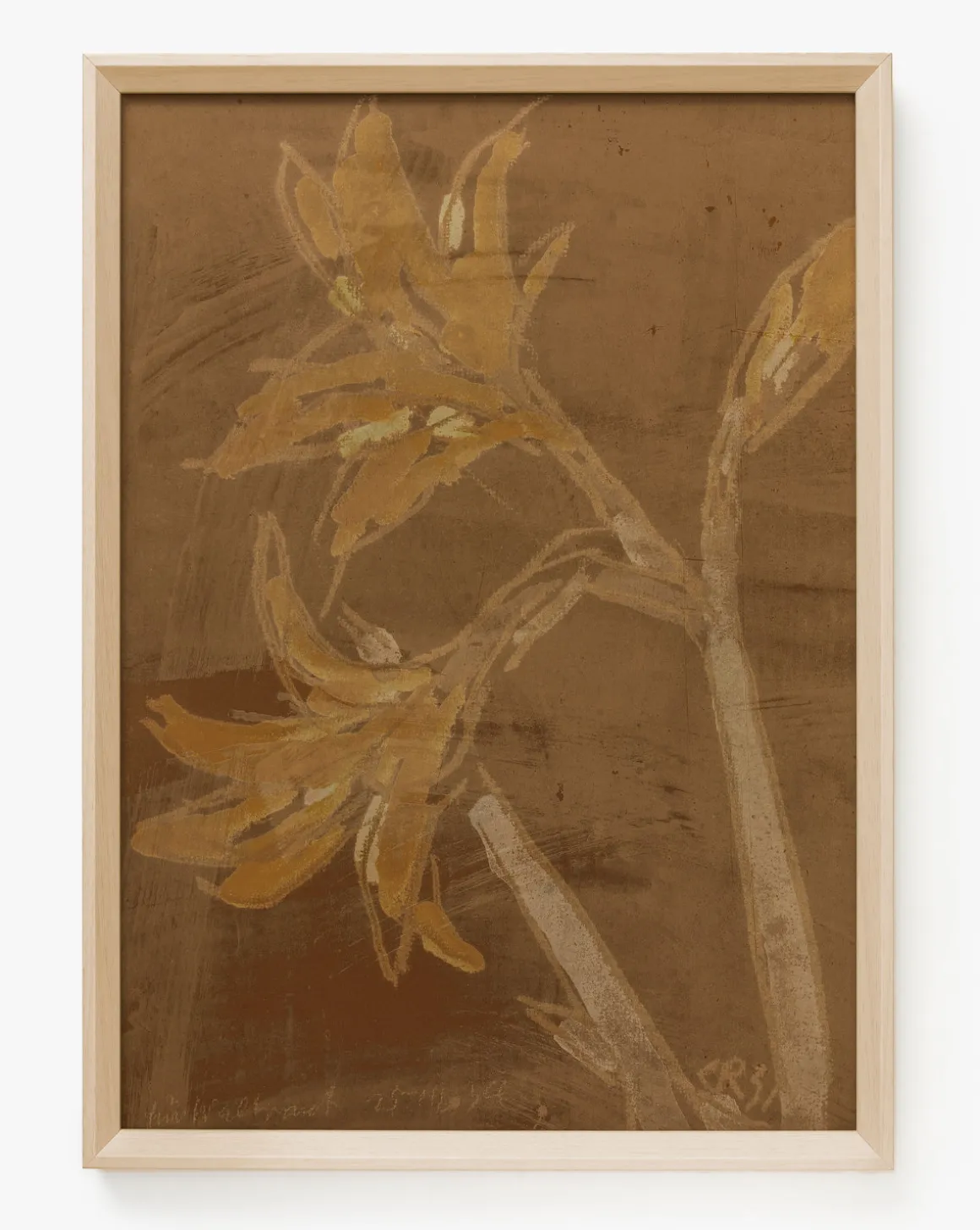 Past Petals