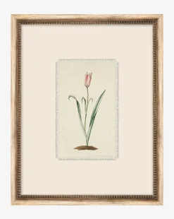 Petite Floral I
