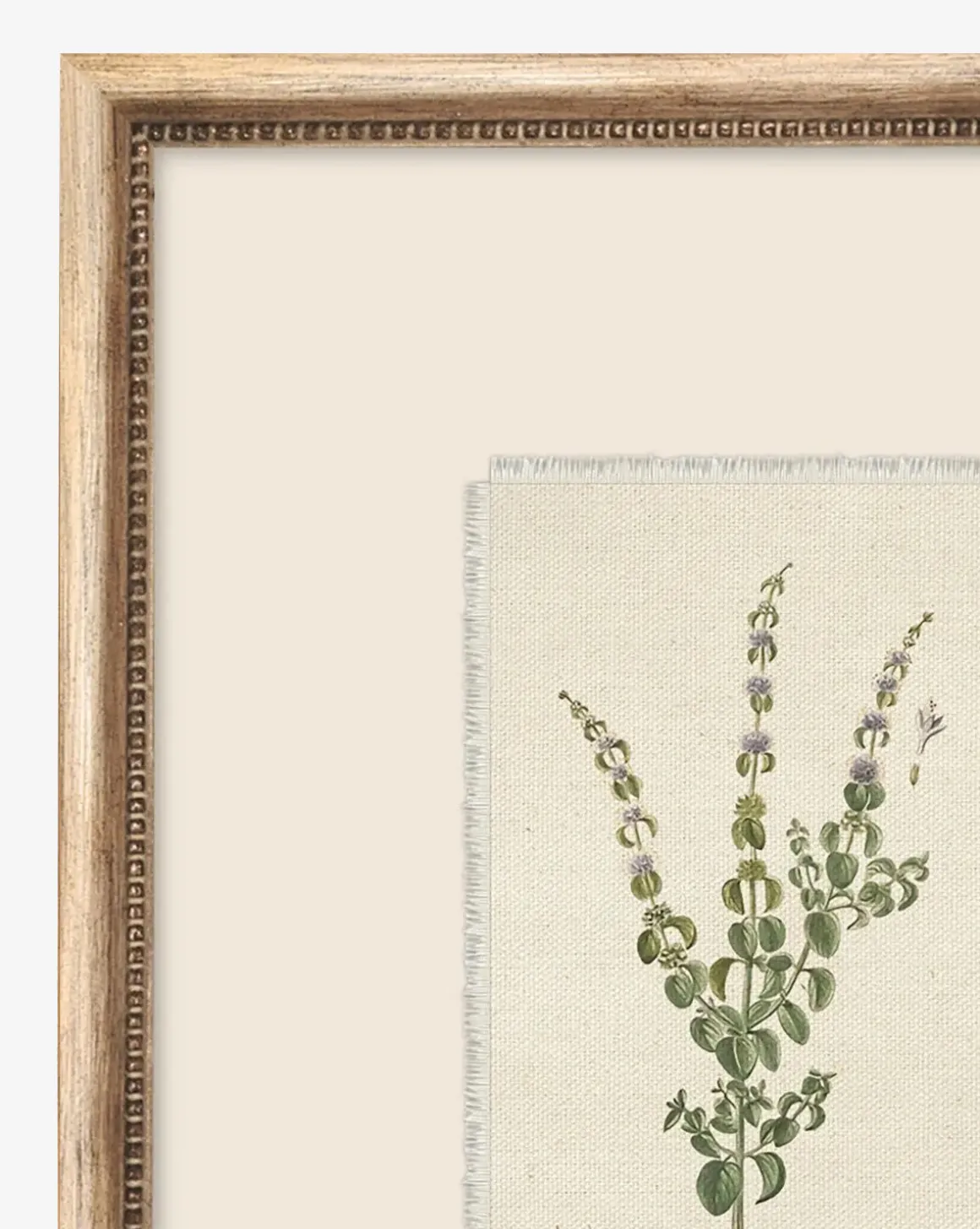 Petite Floral VI