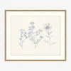 Petites Fleurs