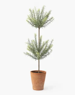 Potted Faux Rosemary Topiary