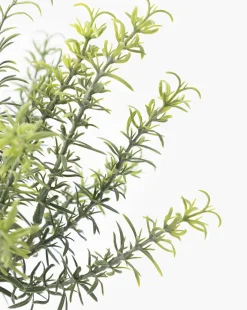 Potted Faux Rosemary Topiary